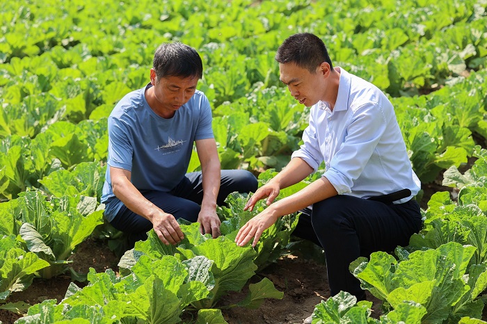 ����(�й���) - �ٷ���վ